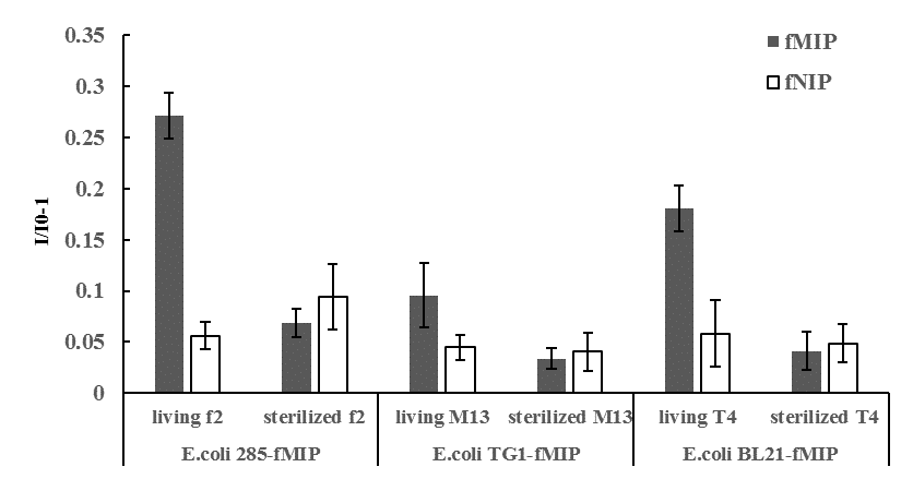 Fig.4 Fluorescence intensity change induced by living or sterilized (dead) bacteriophage (bacteria viruses) in corresponding bacteria-imprinted sensors. (I0: fluorescence intensity of before adding bacteriophage; I: fluorescence intensity after 2h of adding bacteriophage)